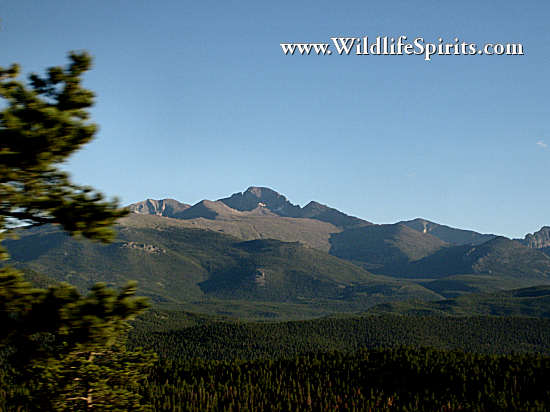Click Picture to send as an  E-PostCard 65k 550x412
